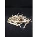maplepaw Treats Dried Sardines for Dogs and Cats 100% RAW Training Treats with Omega 3 and Calcium for Brain Heart Skin and Coat Health - Buy Online on GoSupps.com