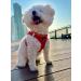 Bella & Pal Dog Harness for Small Dogs - Air Mesh Reflective Breathable | Includes Leash & Step-in Dishes - Perfect Fit (40-45cm) - Red - Buy Online on GoSupps.com