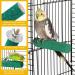 Stainless Steel Bird Feeding Dish Cups Set with Stand - Parrot Food Bowl for Bird Cage - Buy Online on GoSupps.com