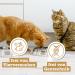 Catz Finefood MEATZ Duck Cat Snack - Grain-Free Sugar-Free With Aloe Vera - 45g Crispy Grilled Stripes for Cats - Buy Online on GoSupps.com
