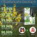 2PCS Clearbreath Dendrobium & Mullein Extract Drops Lung Cleanse Lung Support Mullein Leaf Extract for Lungs Dendrobium Mullein Extract for Lung Health Lung Health Essence for Body Care - Buy Online on GoSupps.com