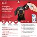 ICF Peptivet OTO Gel Ear Cleaner Gel for Dogs & Cats- Antibacterial Anti-fungal Yeast Management - Red Itchy Skin Relief - Easy to Use - 25 ml - Buy Online on GoSupps.com