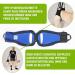 Premium XL Blue Dog Rehabilitation Aid - Neoprene Walking Support for Spine Hip & Knee Issues | From Nature Pet - Buy Online on GoSupps.com