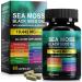 CFXYHNOX Sea Moss Black Seed Oil Ashwagandha Ginger Sea Moss Capsule Supplement with Turmeric Burdock Root Bladderwrack Vitamin C Vitamin D3 Black Seed Oil Capsule 60 Count