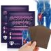 ZJchao Sciatic Nerve Pain Relief Patch - 60 Pcs Herbal Traditional Medicine for Muscle Release - Buy Online on GoSupps.com