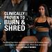 EHPlabs OxyShred Thermogenic Pre Workout Powder & Shredding Supplement - Clinically Proven Pre Workout Powder with L Glutamine & Acetyl L Carnitine Energy Boost Drink - Mandarin Twist 60 Servings - Buy Online on GoSupps.com