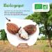 Organic Shea Butter AB 400g - 100% vegetable - Buy Online on GoSupps.com