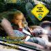 4 Pcs Baby On Board Sign with Suction Cups - Kids Driving Safety Warning - Bright Yellow 5x5 - Buy Online on GoSupps.com