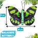Zappi Co 100% Recycled Plush Malachite Butterfly Toy - Eco Friendly Cuddly Animal for Newborn - 28.5cm Width - Buy Online on GoSupps.com