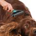 Professional Grade Double Sided Undercoat Pet Rake Brush | Reduces Shedding By 95% | Ideal for Dogs & Cats | Includes Free Nail Clipper - Buy Online on GoSupps.com