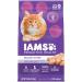 IAMS PROACTIVE HEALTH Kitten Dry Cat Food Chicken Recipe Dry Food 3.5 Pound (Pack of 1)