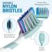 6 Pack of Reusable Medium Soft Toothbrushes with Nylon Bristles - Individually Wrapped for Oral Hygiene and Dental Health by Blasting Health - Buy Online on GoSupps.com