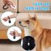 Diyife Training Clicker for Dogs Cats & Horses - 2 Pack with Large Button & Hand Loop | Effective Pet Training Tool - Buy Online on GoSupps.com