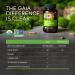 Gaia Herbs Immune Mushroom Blend - 40 Vegan Capsules for Immune Support - Buy Online on GoSupps.com