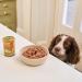 Lily's Kitchen Natural Adult Wet Dog Food Tins Grain-Free Recipe Variety Pack 12x400g Grain Free Multi 400 g (Pack of 12) - Buy Online on GoSupps.com