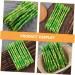 HOMSFOU 50 Pcs Simulated Asparagus Ornaments Fake Vegetables Asparagus Decor Fake Plastic Lifelike Vegetables Faux Asparagus Fern Plastic Vegetables Model Fake Food Model Sample Pvc Plant Light Greenx5pcs 19X0.9CMx5pcs - Buy Online on GoSupps.com
