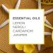 Caldrea Hand Lotion with Shea Butter, Aloe Vera & Glycerin | Sea Salt Neroli Scent 10.8 oz - Buy Online on GoSupps.com
