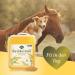 Martenbrown Rice Germ Oil 5L - Premium Dietary Supplement for Horses Dogs & Donkeys | Ideal for Dry & Canned Food Barf Oil - Buy Online on GoSupps.com