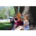 Blue Sippy Top Kid Universal Bottle Adapter - 2-Pack - Buy Online on GoSupps.com