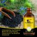 KLLALO Organic Black Cumin Seed Oil 60 ml Glass Bottle + Pipette + Brush for Hair Loss Acne and Blackheads Black Seed Oil - Buy Online on GoSupps.com