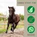 Emma Hoof Oil for Horses - 480ml with Brush | Ultimate Hoof Care & Growth | Huffett Hoof Balm & Ointment - Buy Online on GoSupps.com