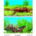 Hidom Aquarium Background Poster Double Sided - Height 24" / 60cm - Length 4 FT / 122cm - Two Scenic Pictures displaying Aquatic Backdrops - DS 600-9009/9021 - Buy Online on GoSupps.com