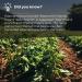 Black Soybeans 1 Kg Roasted & Lightly Salted - High Protein, Gluten-Free, GMO-Free | 2.2 Lbs - Dorimed - Buy Online on GoSupps.com