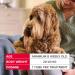 Beaphar FIPROtec Combo for Large Dogs (20-40kg) - Kills Fleas, Eggs, Ticks - Vet Strength Treatment | 6 Pipettes - Buy Online on GoSupps.com