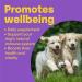 Bob Martin Dog Conditioning Tablets (100 Tablets) - Immune System Support with Nutrient-Rich Vitamins - Tasty Nutritional Supplement - Buy Online on GoSupps.com