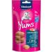 Vita Power Cat Yums - Salmon Cat Snacks Extra Meaty Skin & Fur Support Sugar-Free 9x40g - Omega 3 Boost - Buy Online on GoSupps.com