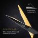JASON 6'' Professional Barber Shears 440C Japanese Stainless Steel - Salon Razor Edge Hair Cutting Scissors - Buy Online on GoSupps.com