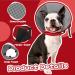 Kuoser Adjustable Dog Collar - Comfortable Leakage Protection for Wound Prevention - Red Size L (Neck 34-40 cm) - Buy Online on GoSupps.com