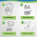 DryCaddy UV by Dry & Store - Industry-Leading Desiccant for Hearing Aids and Electronics - Buy Online on GoSupps.com