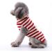 Petcare Christmas Dog Sweater | Warm Turtleneck Knitwear for Puppies | Santa Claus XL Party Gift - Buy Online on GoSupps.com