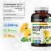 BIO KRAUTER Dandelion Root 250 Capsules & Liver Support Tincture 4 Fl. Oz - Buy Online on GoSupps.com