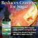 Nature's Answer Gymnema Leaf Extract - 1oz | Block Sweet Cravings | Gluten-Free & Preservative-Free - Buy Online on GoSupps.com