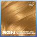 Clairol Nice'n Easy Cr me 8GN Medium Golden Neutral Blonde - Oil Infused Permanent Hair Dye - Buy Online on GoSupps.com