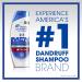 Head and Shoulders Anti-Dandruff 2-in-1 Shampoo and Conditioner - Pack of 2 (21.9 oz each) - Buy Online on GoSupps.com