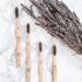 LEAFICO Bamboo Toothbrush Set with Travel Case - Dental Floss, Tongue Scraper - Eco-Friendly, Charcoal Infused Bristles for Natural Whitening - BPA Free - Vegan, 7 Piece Zero Waste Gift - Buy Online on GoSupps.com