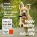 HomeoPet Skin and Itch Support for Pets - 15ml - Buy Online on GoSupps.com