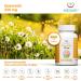 Quercetin 500mg - High Dose Vegan Flower Extract | 90 Premium Capsules | 98% Quality | Japanese Cord | Additive-Free Daily Doses - Buy Online on GoSupps.com