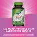 Nature's Way Horsetail Grass 440 mg - 100 Vegan Capsules for Hair & Skin Health - Buy Online on GoSupps.com