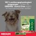 Buy Greenies Dental Treats for Medium Dogs (340g) - Daily Tooth Cleaning Snacks for Healthy Teeth & Gums - Buy Online on GoSupps.com