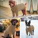 Iecoii Dog Sweater - Warm Turtleneck for Small to Large Dogs | Winter Clothing for Chihuahuas French Bulldogs & Labradors - Buy Online on GoSupps.com