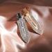 Rhinestone No Bend Hair Clips - Aileam Bangs Diamond Hair Clip for Women and Girls - Buy Online on GoSupps.com