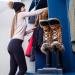 JobSite Electric Shoe Dryer & Boot Warmer - Ultra Silent Drying Technology - Buy Online on GoSupps.com