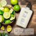C.O. Bigelow Village Perfumer Lime Coriander Body Lotion - No. 1536 | Moisturizing Lotion for Women and Men | 10 fl oz - Buy Online on GoSupps.com
