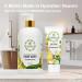Aromatherapy Luxury Vegan Liquid Hand Soap - Moisturizing Aloe Vera & Botanical Oils - Cucumber Melon Scent - 16 Oz - Ideal for Bathrooms & Kitchens - Buy Online on GoSupps.com
