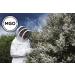 Manuka Doctor Multifloral Manuka Honey MGO 60+ | 8.75 oz (250g) - Pure & Natural - Buy Online on GoSupps.com