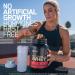 Optimum Nutrition Gold Standard 100% Whey Protein Powder - Double Rich Chocolate - 1 lb - Buy Online on GoSupps.com